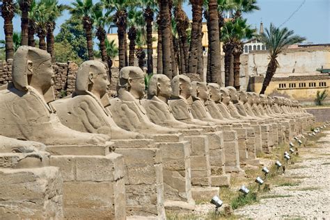 Ancient Thebes with its Necropolis .